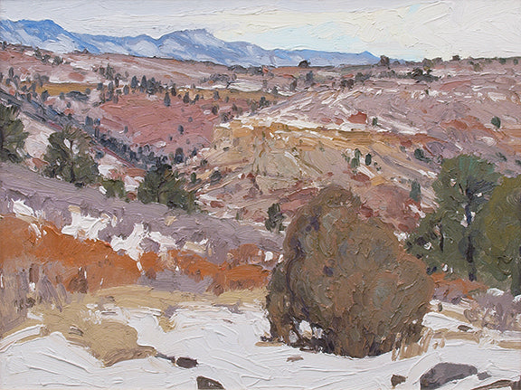 Len Chmiel (1942-)