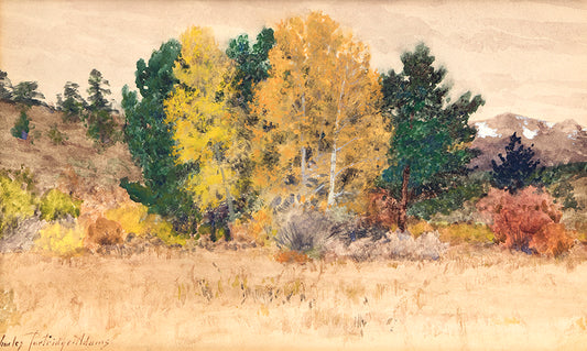Untitled (Trees in Autumn, Colorado), Painting, circa 1900