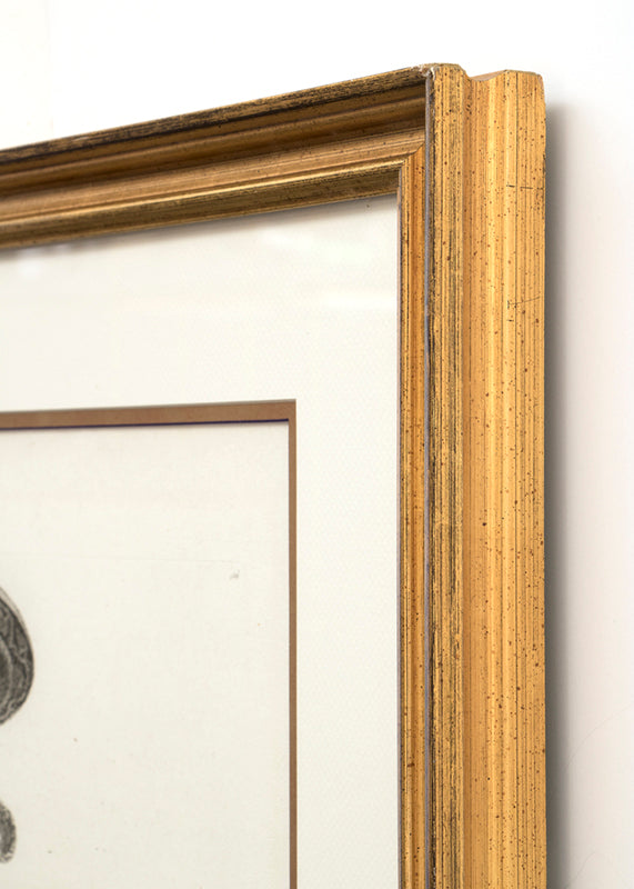 Ancient Candelabra, Print