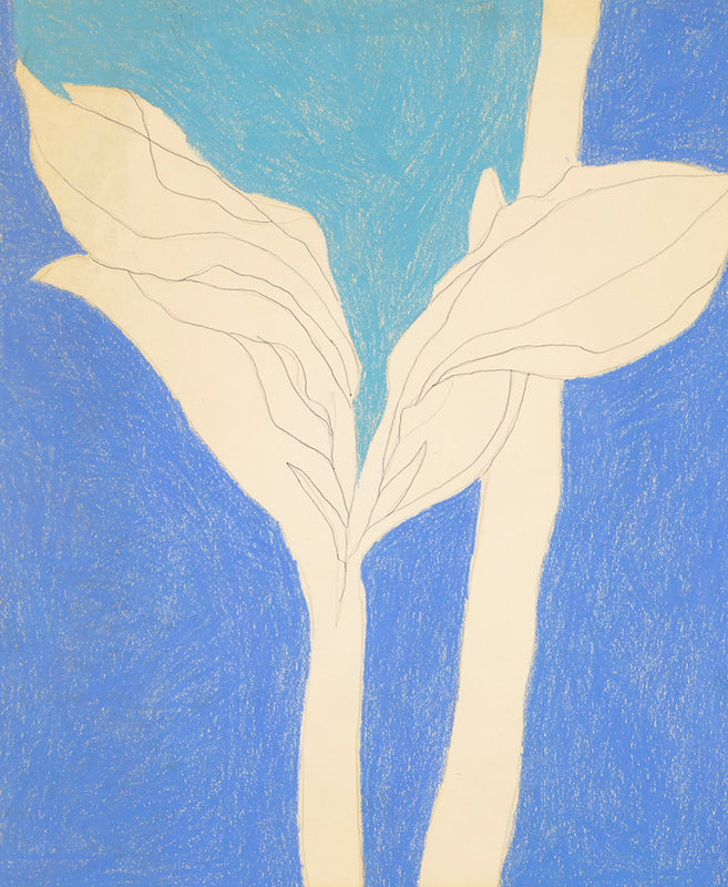 Untitled (Janurary 30, 11) (Crayon Rubbing Series), Drawing