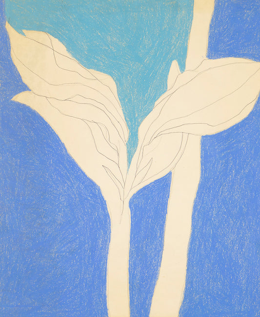 Untitled (Janurary 30, 11) (Crayon Rubbing Series), Drawing