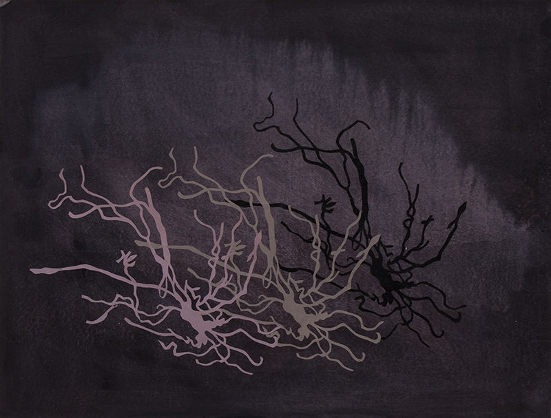 Last Potato, Root Series #7, Painting, 1985