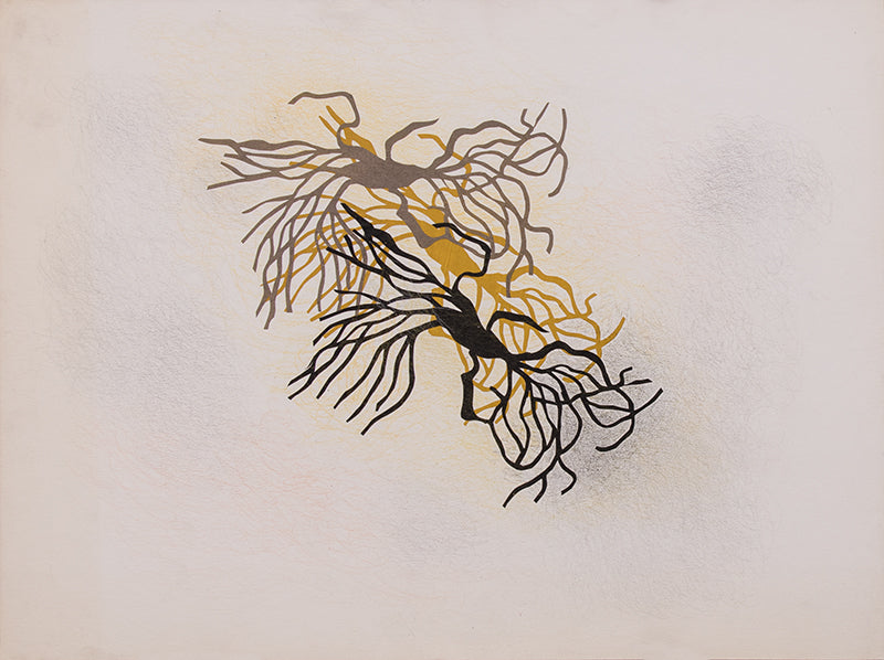 Untitled (Root Series), Painting