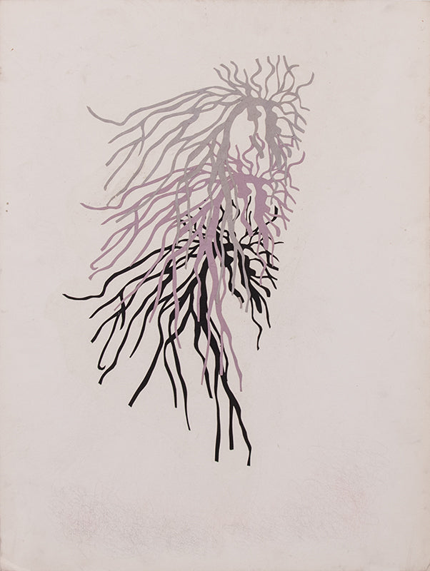 Untitled (Root Series), Painting