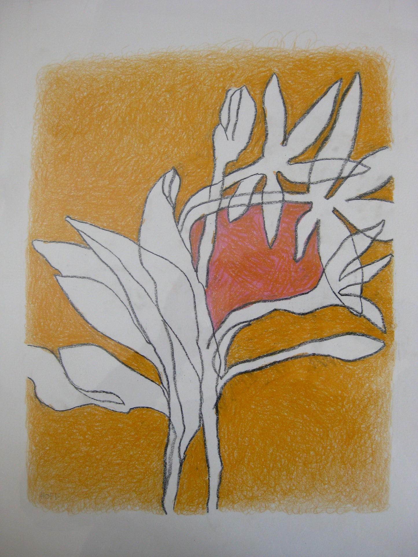 Orange Bloom (Crayon Rubbing Series), Drawing