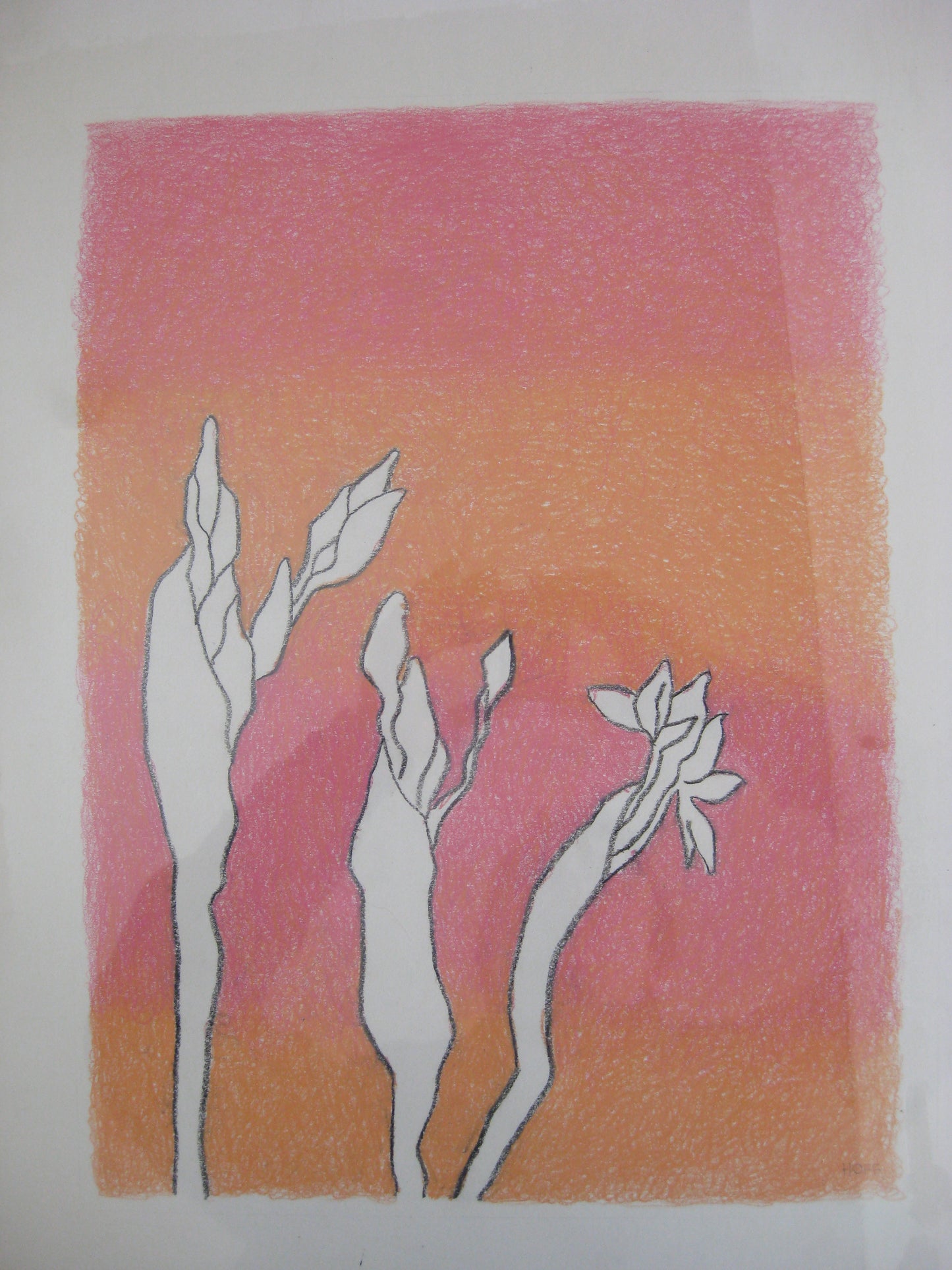 Buds - Pink (Crayon Rubbing Series), Drawing