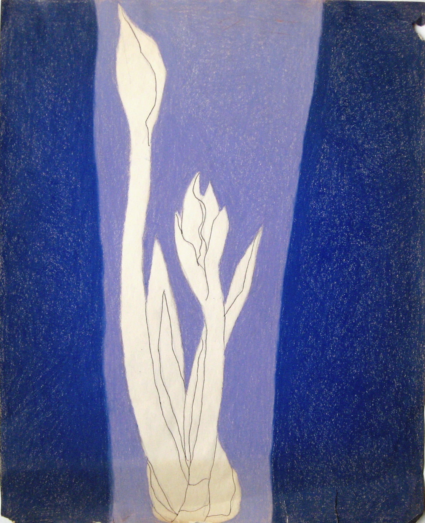 #10 (Bulb Series), Drawing