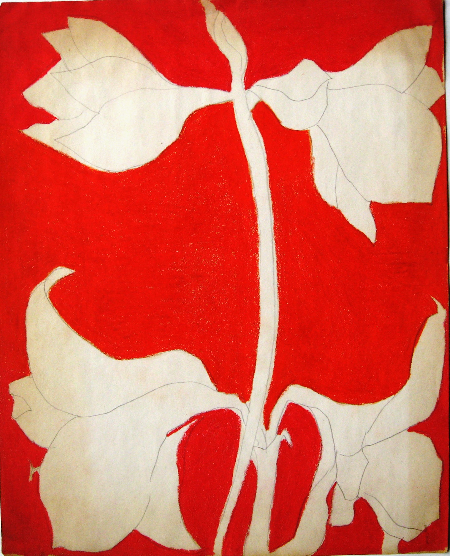 #13 (Bulb Series), Drawing