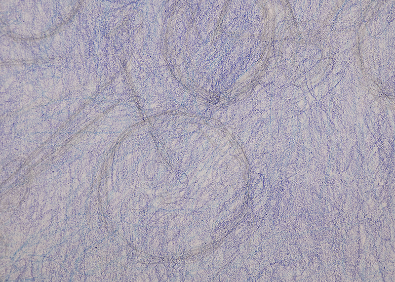 Untitled (Bicycles), Drawing