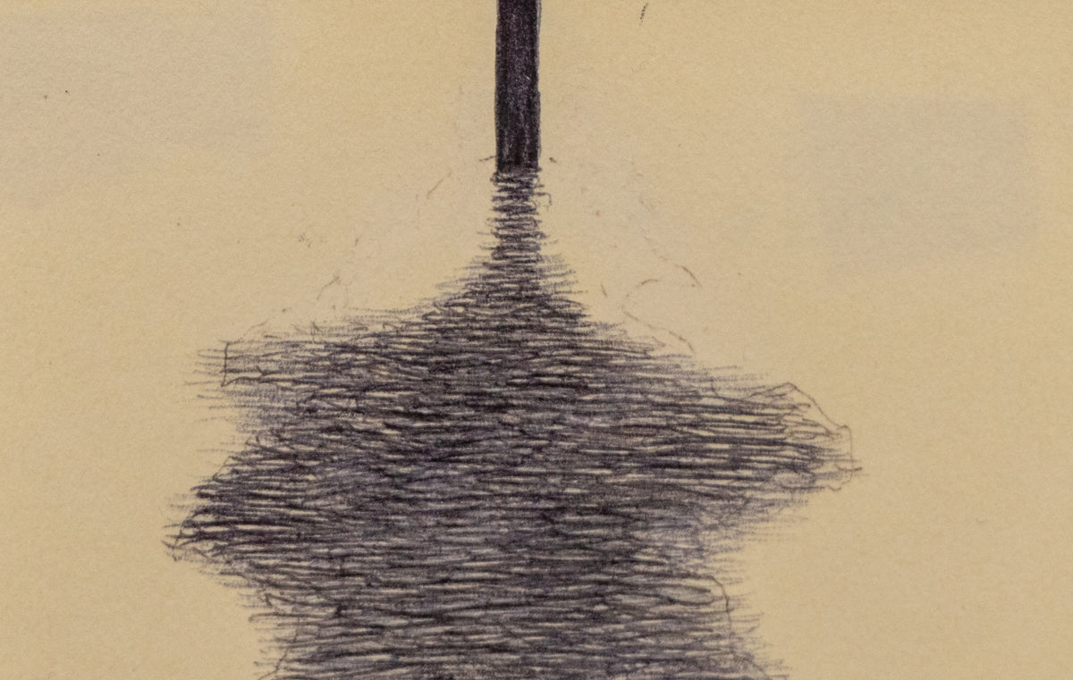 Tree Shadow, Drawing