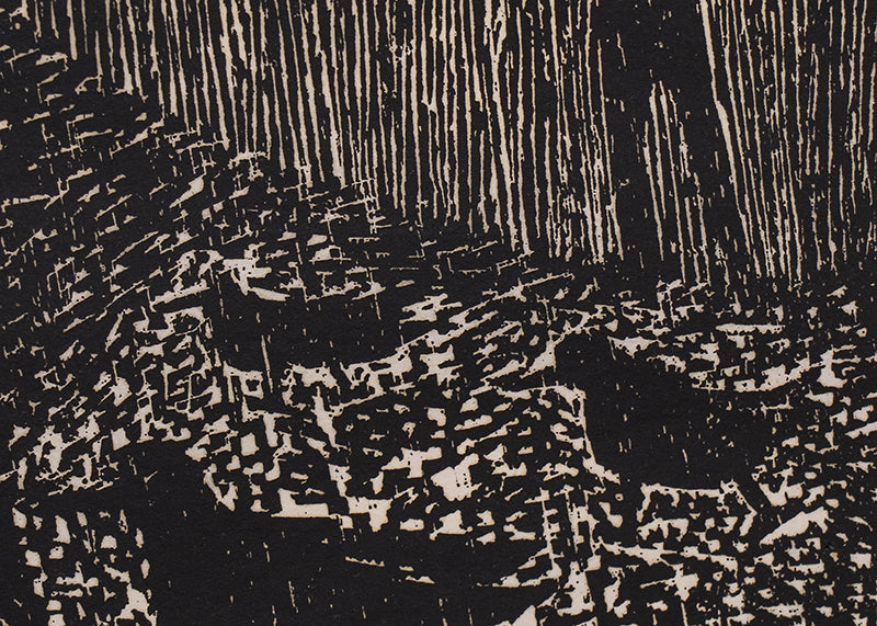 Woodcocks, Print