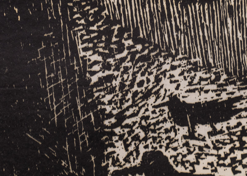Untitled (Woodcocks), Print