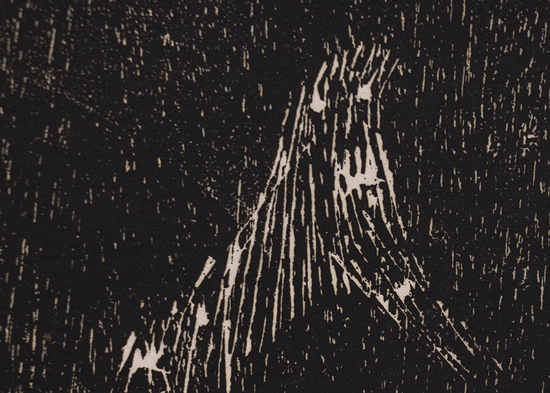 Untitled (Orion and Canis Major), Print