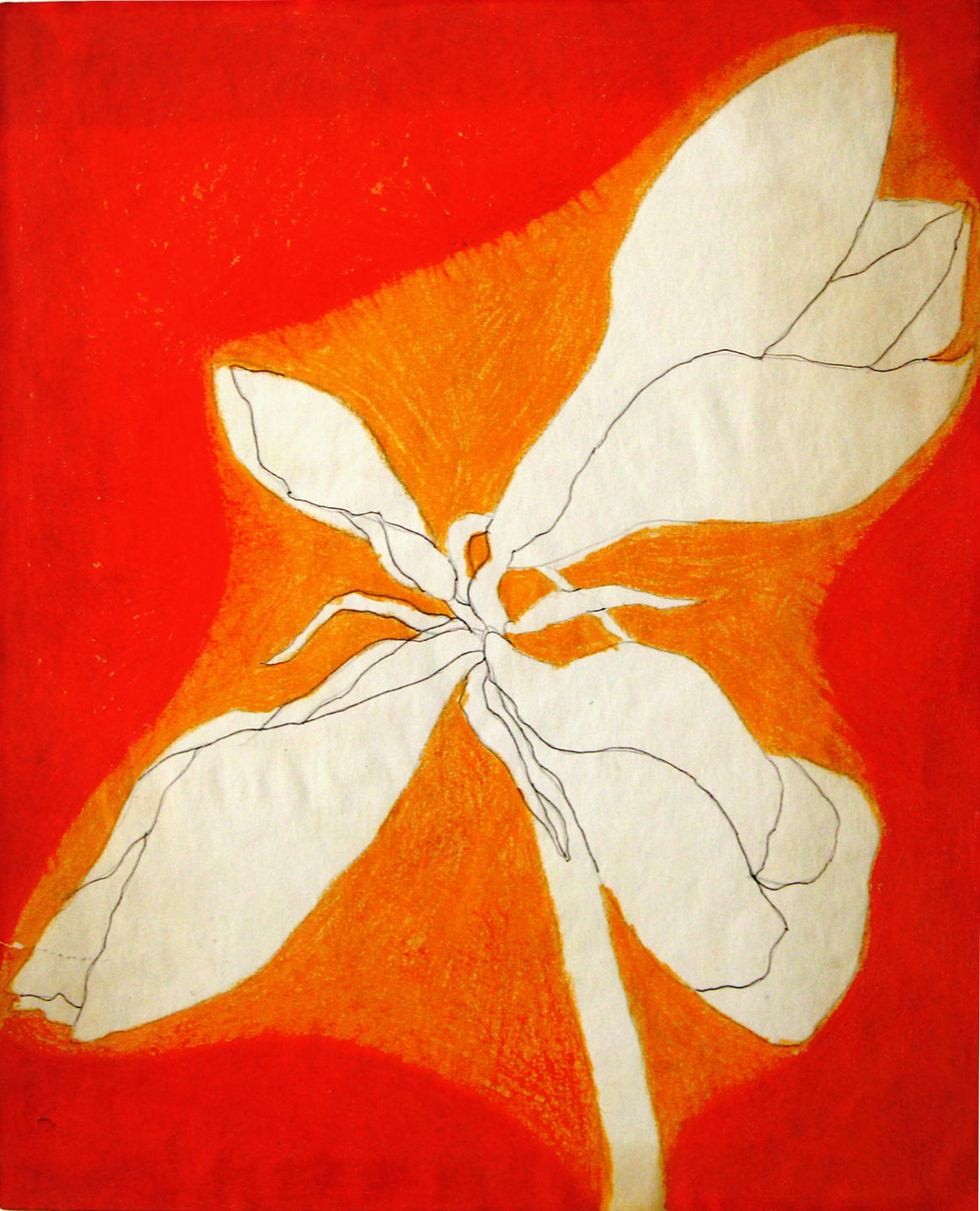 #12 (Bulb Series), Drawing