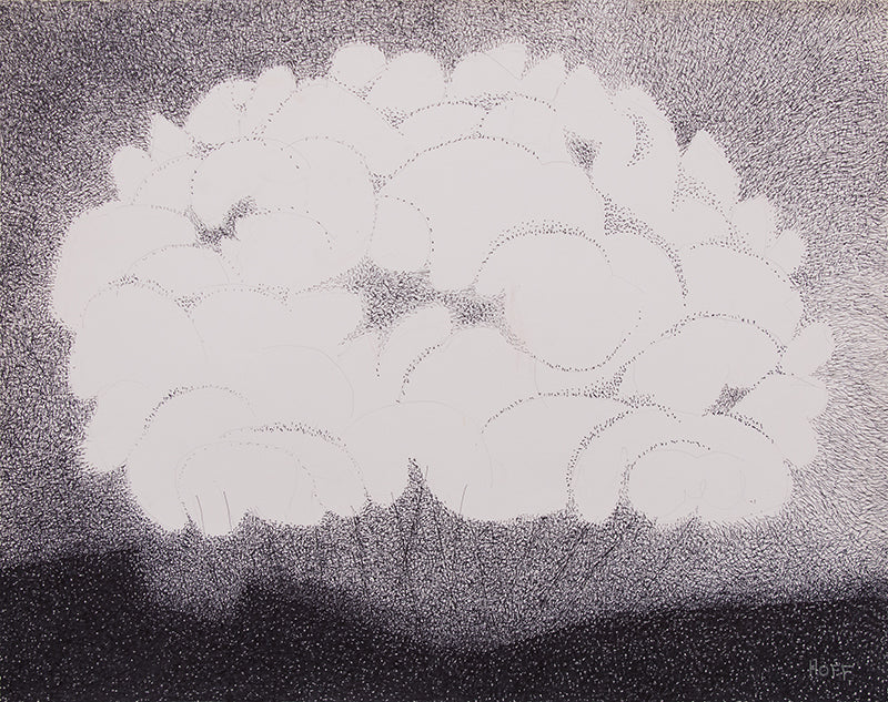 Smoke Bush, Drawing