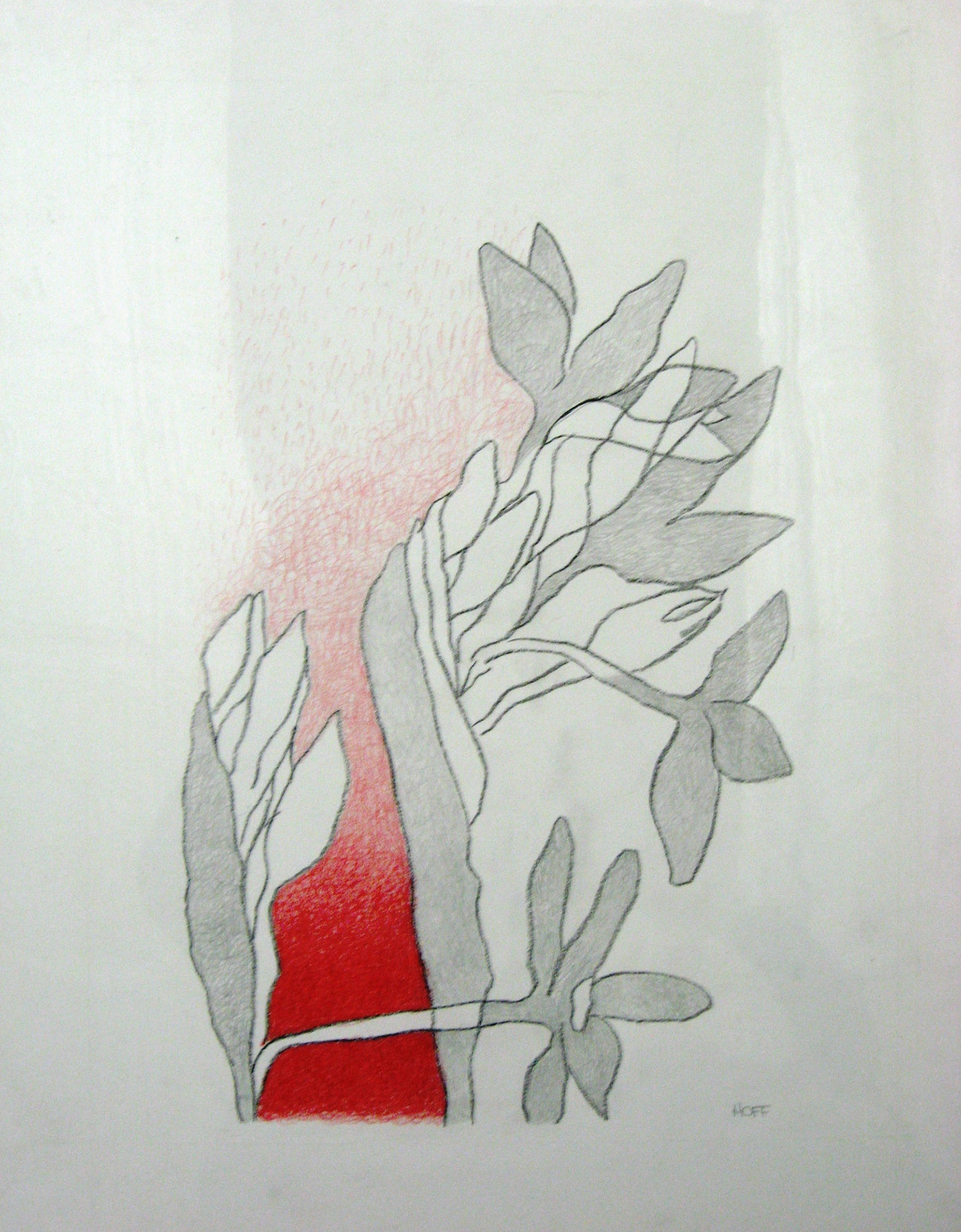 Pale Red and Grey (Bulb Series), Drawing