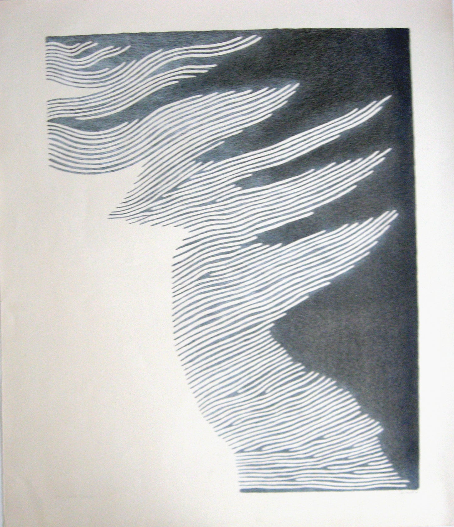 Fog into Land, Print
