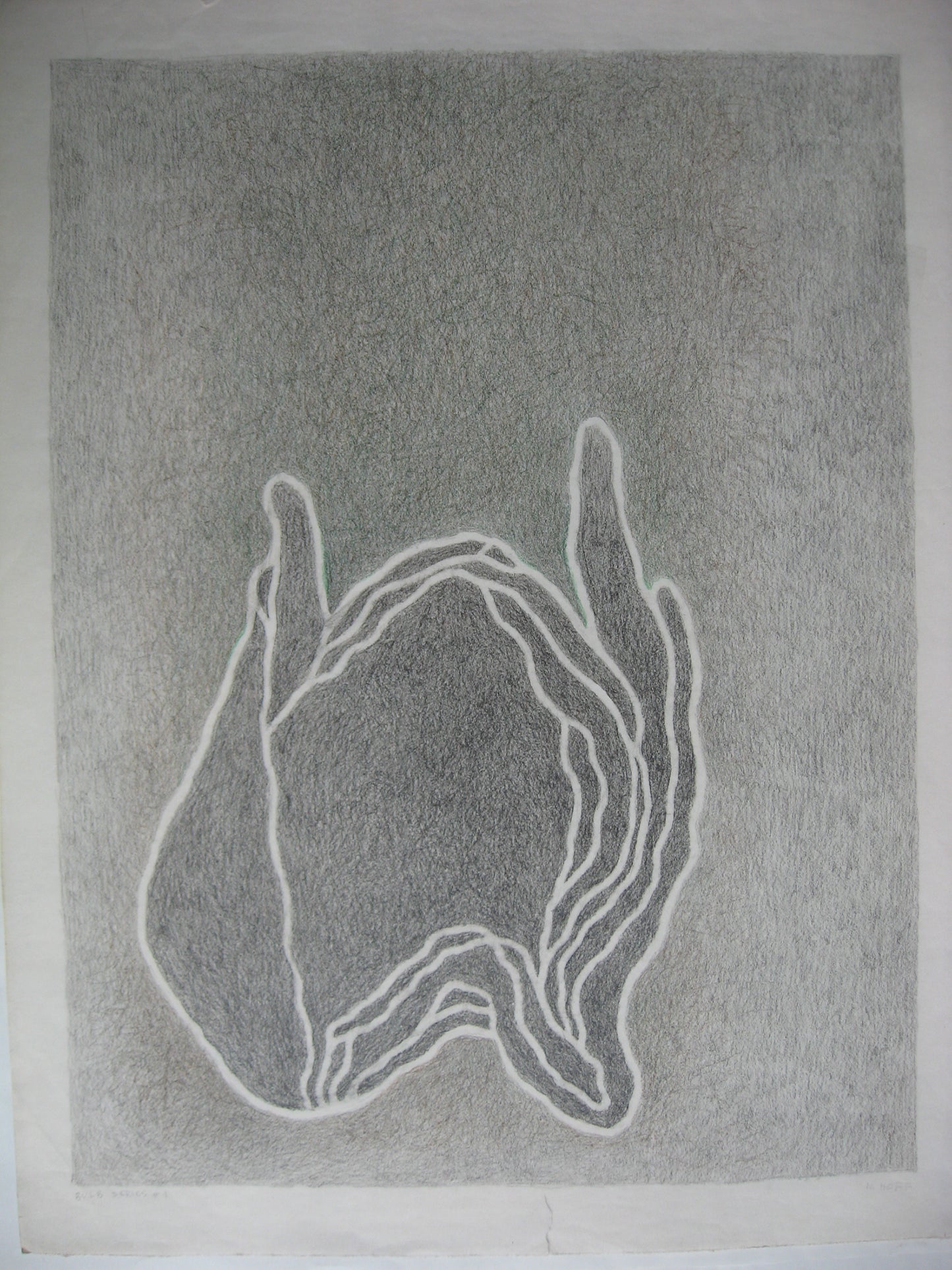 Bulb Series #1, Drawing