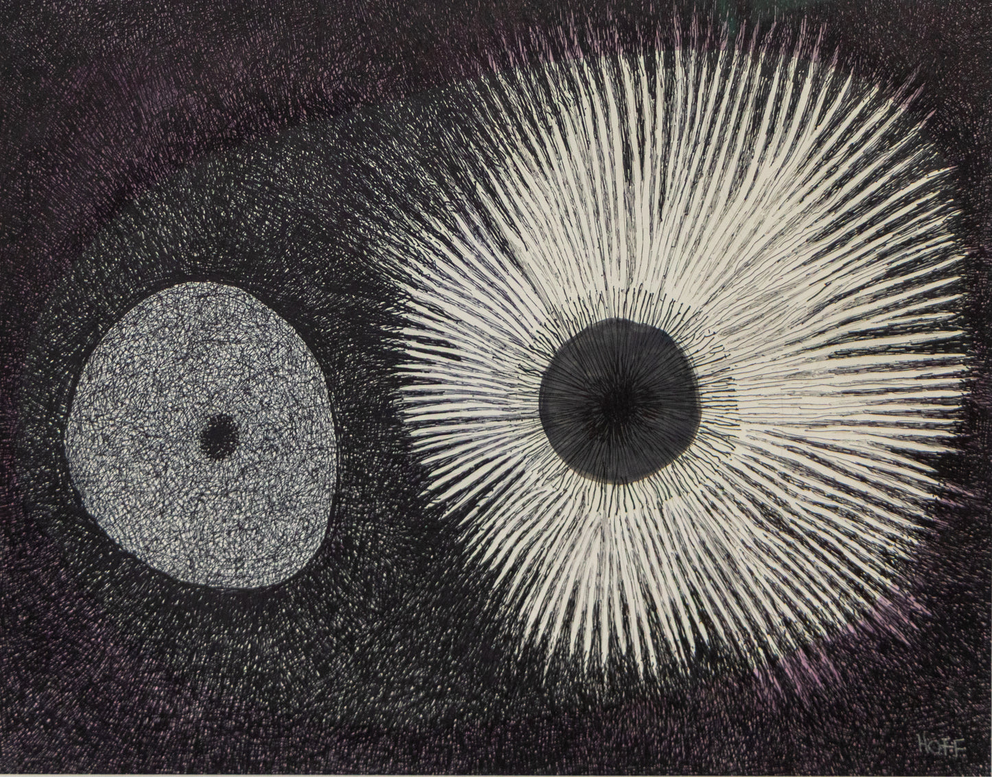 Margo Hoff, Sea Urchin, acrylic and ink on paper Drawing