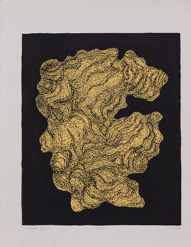 Ginger Root 3/70, Print