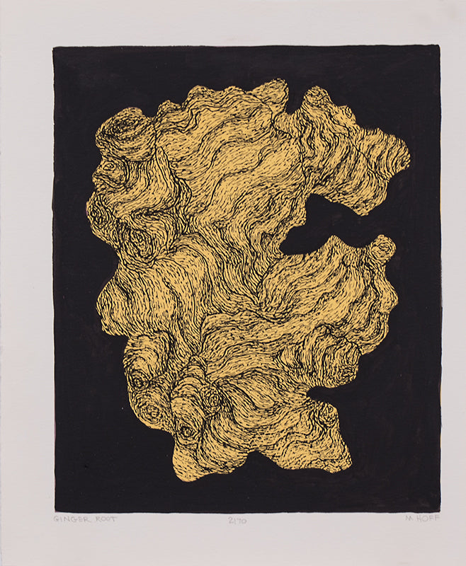 Ginger Root 2/70, Print