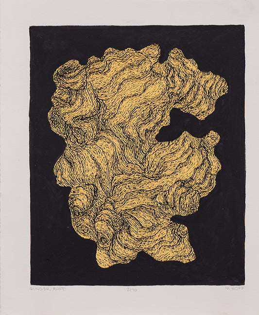 Ginger Root 2/70, Print