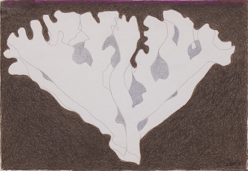 Untitled (Stylized Plant), Drawing