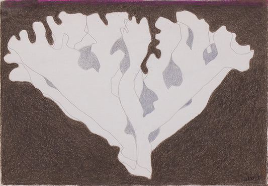 Untitled (Stylized Plant), Drawing