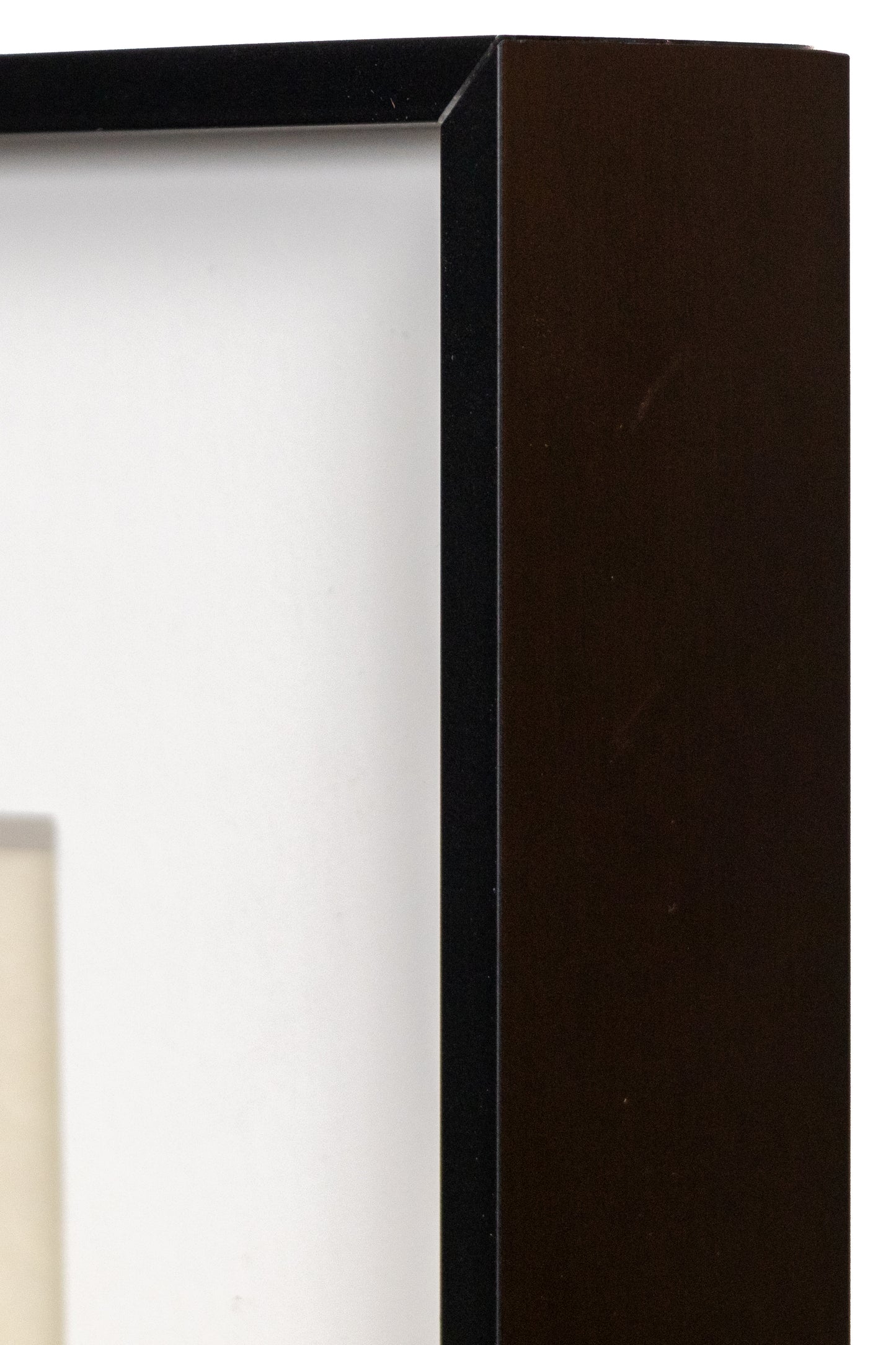 Cat in Grass, Print, circa 1950