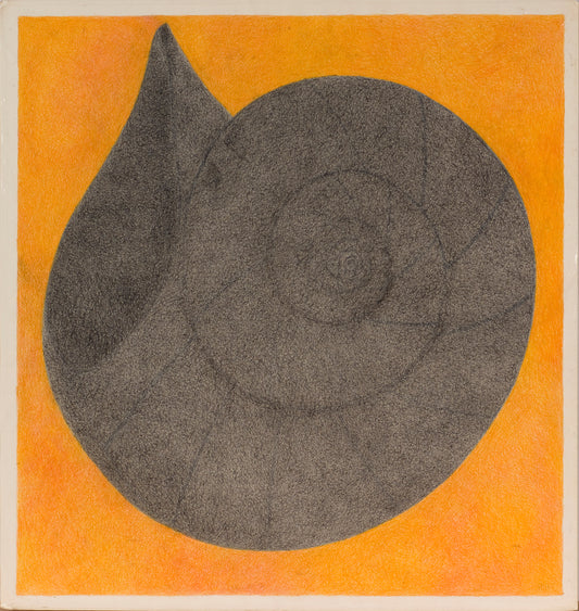 Black Shell, Drawing, circa 1980