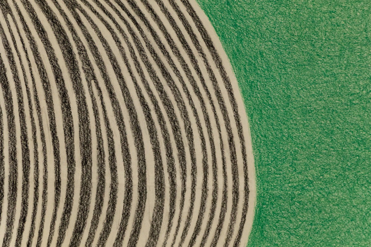 Green Shore, Drawing