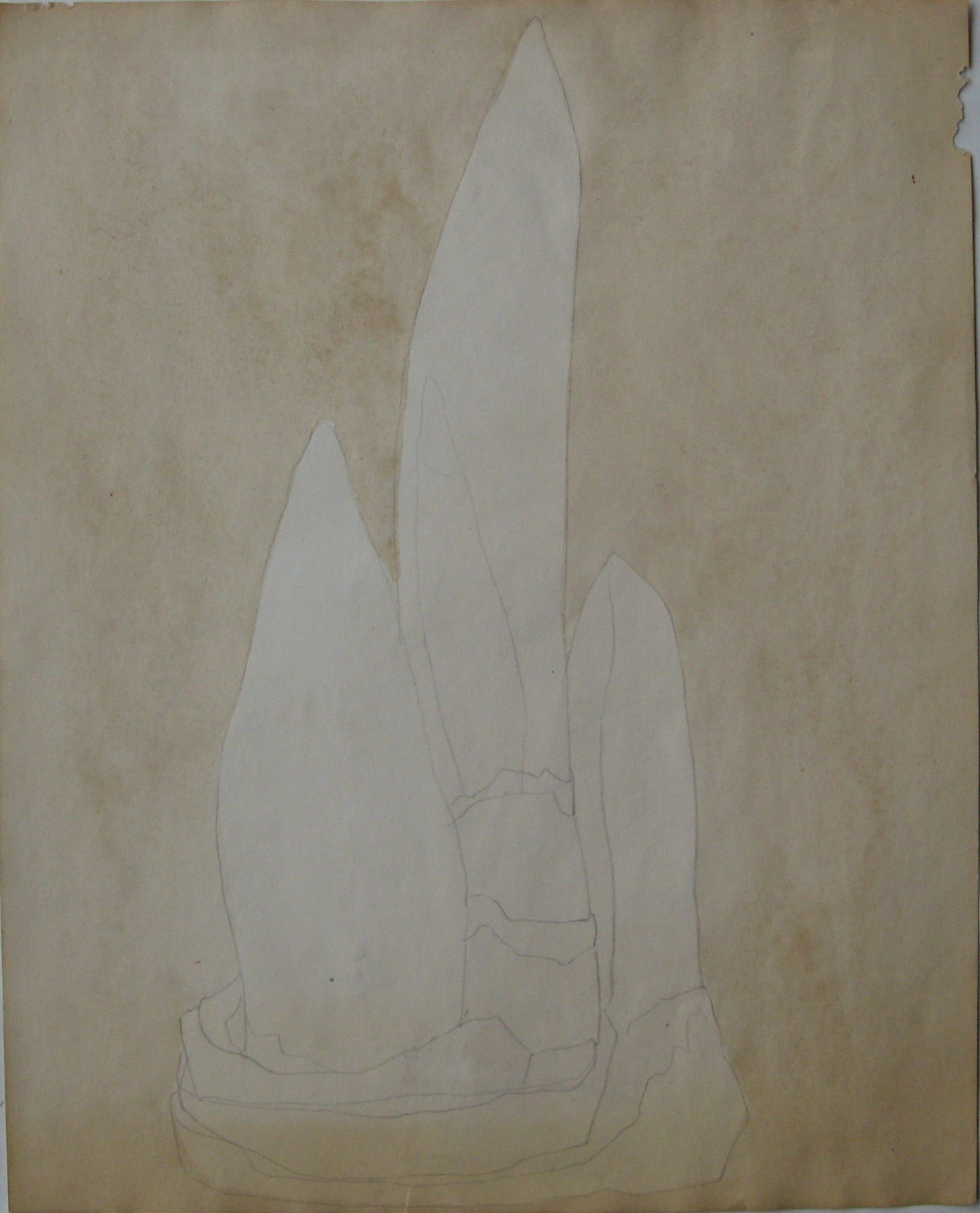#6 (Bulb Series), Drawing
