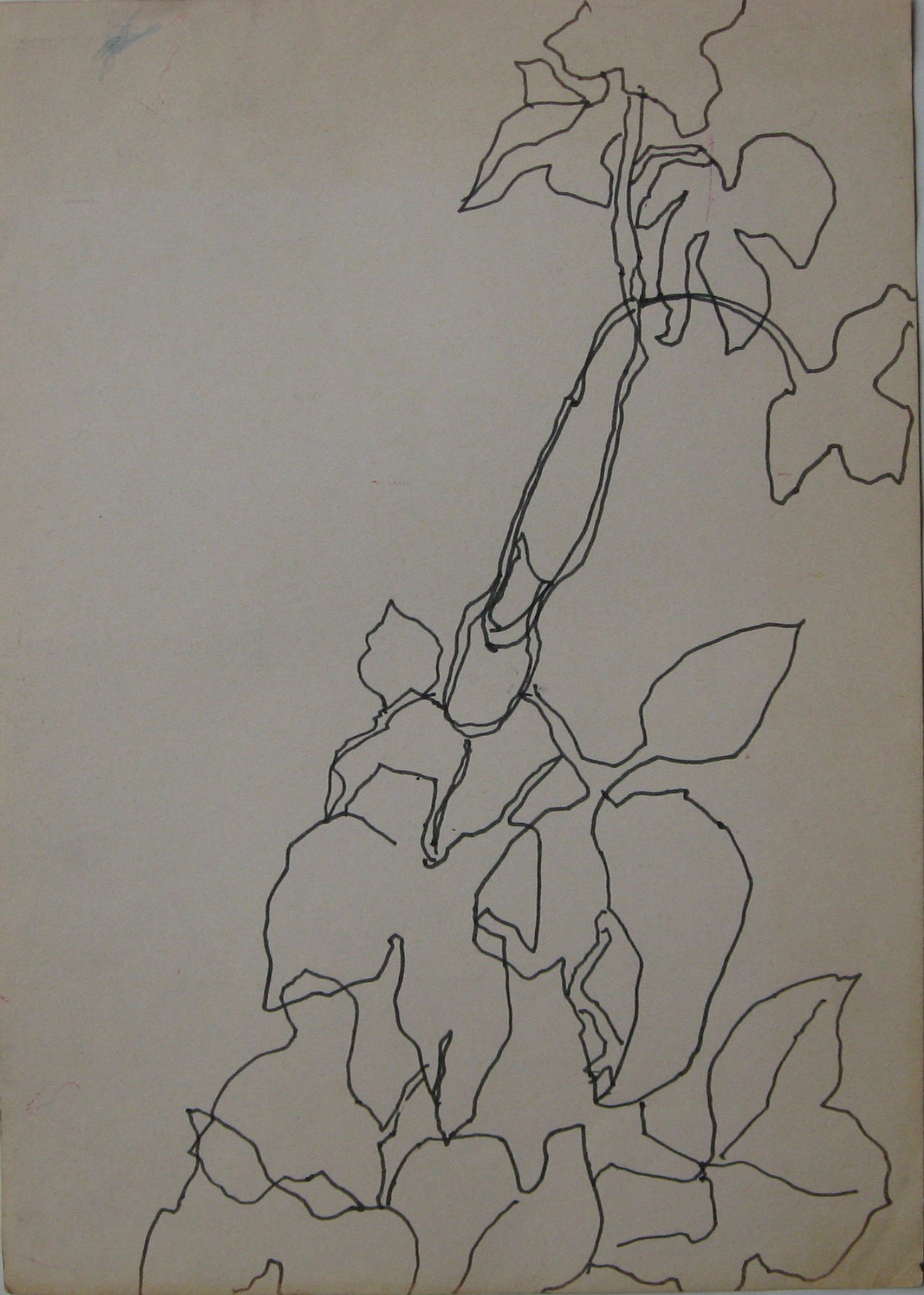 Untitled, Drawing