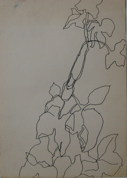 Untitled, Drawing