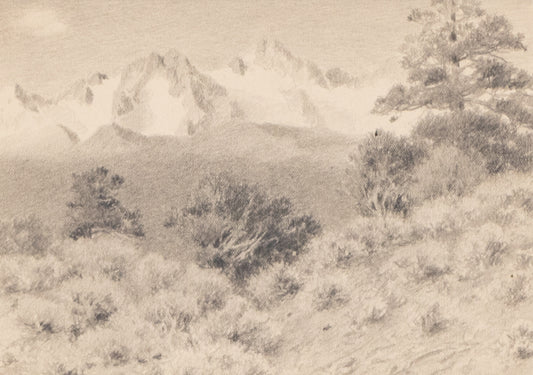 Untitled (Rocky Mountain National Park), Drawing, circa 1910