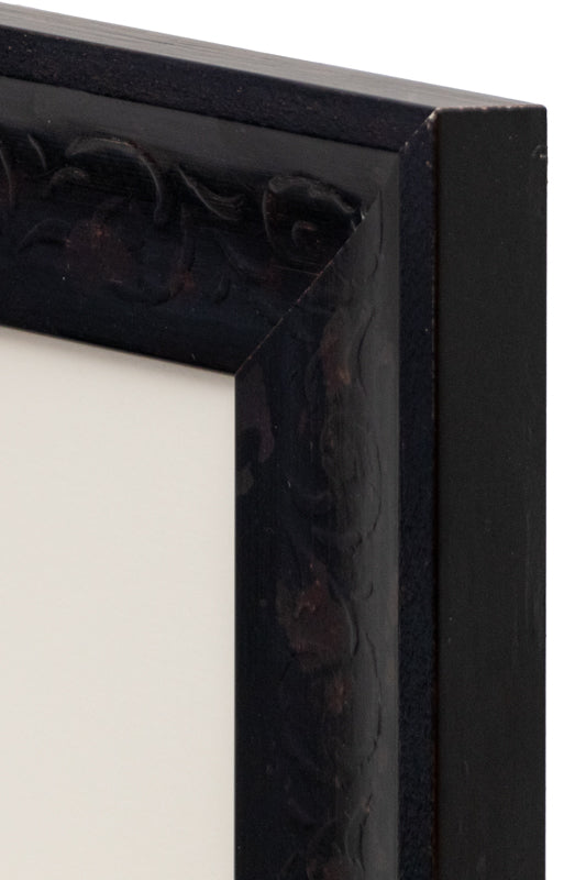 Untitled (Rocky Mountain National Park), Drawing, circa 1910