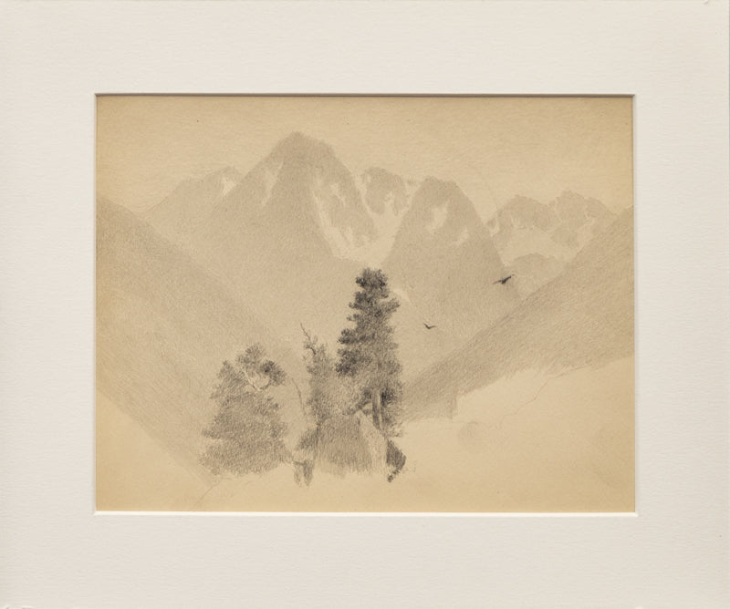 Untitled (Two Birds, Pines, and Mountains), Drawing, circa 1910