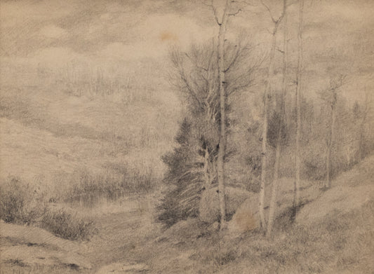 Untitled (Aspens and Firs), Drawing, circa 1910
