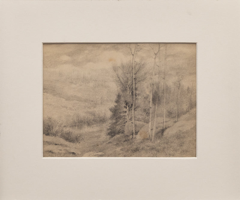 Untitled (Aspens and Firs), Drawing, circa 1910