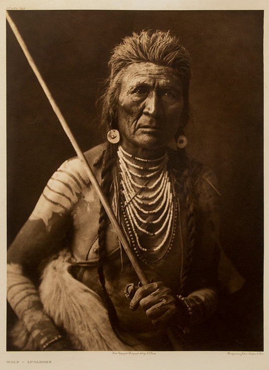 Wolf- Apsaroke, Portfolio #4, Plate #142, Photogravure, 1908