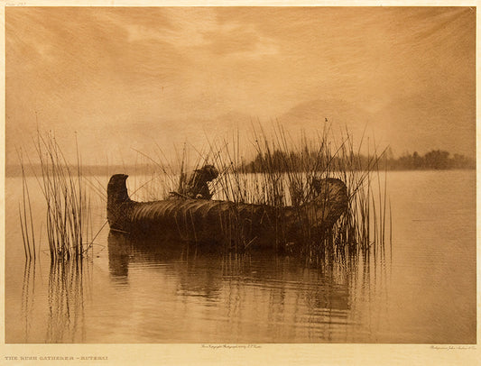 The Rush Gatherer- Kutenai, Portfolio 7, Plate 255, Photogravure, 1910