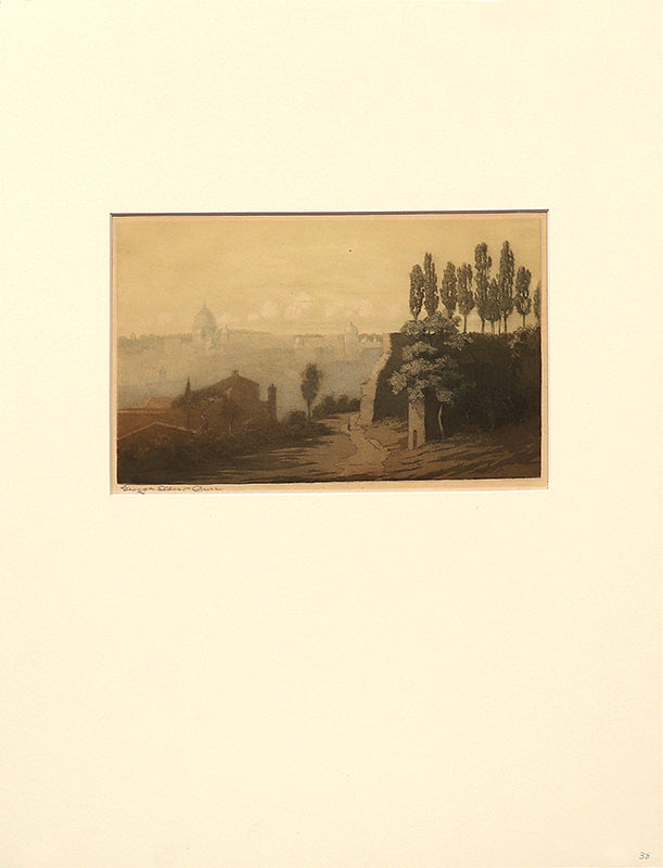 Rome from Palatine Hill, Italy, Print, circa 1905