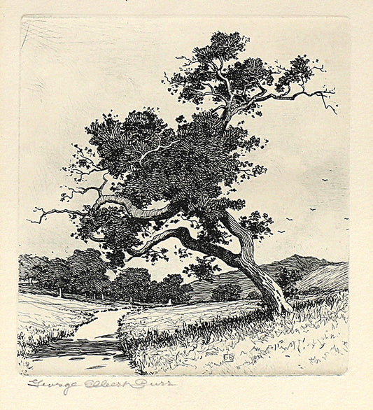 George Elbert Burr (1859-1939) artwork for sale. A Santa Barbara Road, California (Road with Trees and Hills), Print, circa 1913, Denver, Colorado, Art Gallery)