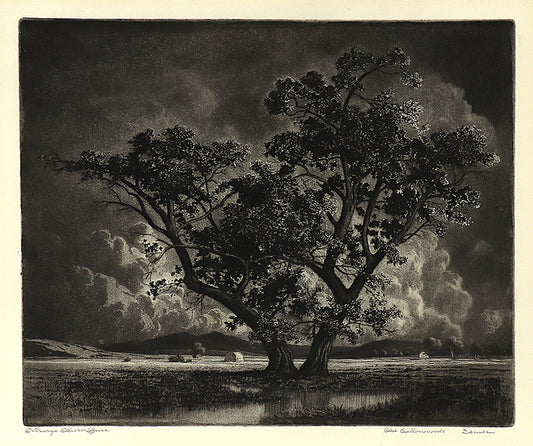George Elbert Burr (1859-1939) artwork for sale. Old Cottonwoods, Denver, Colorado (Landscape with Cottonwoods and Hay Bales), Print, circa 1920, Denver, Colorado, Art Gallery)