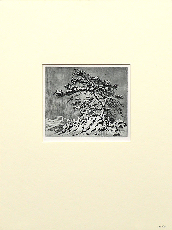 Untitled (Snow Storm, Estes Park), Print, circa 1915