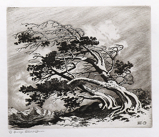 George Elbert Burr (1859-1939) artwork for sale. Pines in Wind, Estes Park (Pines In Winter, Colorado), Print, circa 1915, Denver, Colorado, Art Gallery)