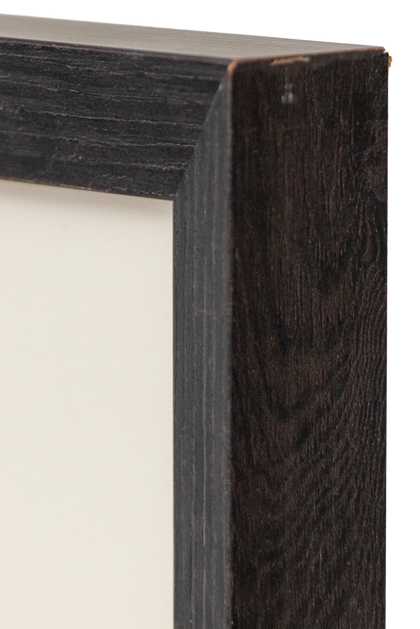 Moraine Park, Estes Park, Colorado (Summer), Print, 1921