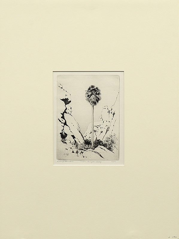 Palm Canyon, California (Desert Set), Print, circa 1921