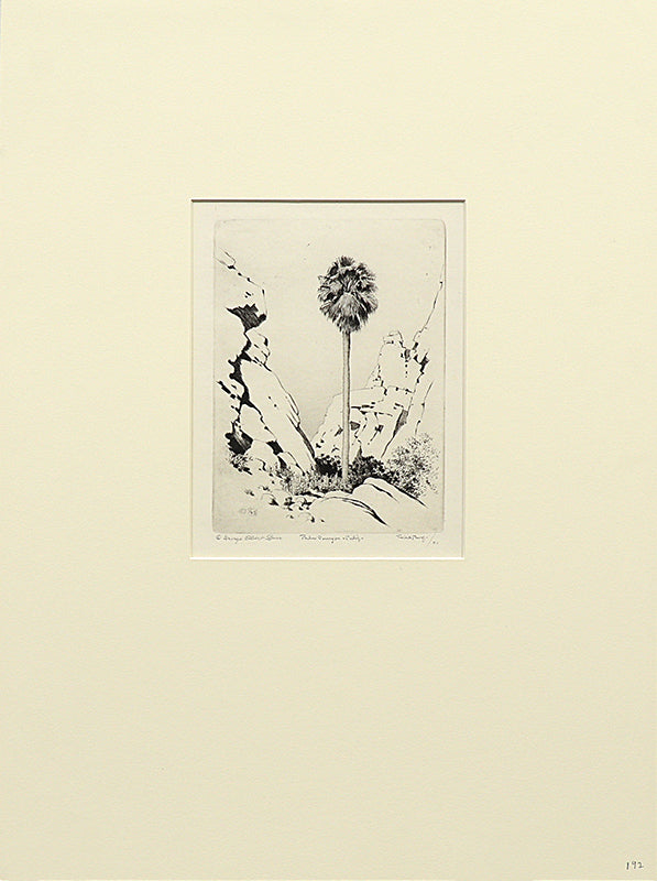 Palm Canyon, California (Desert Set), Print, circa 1921