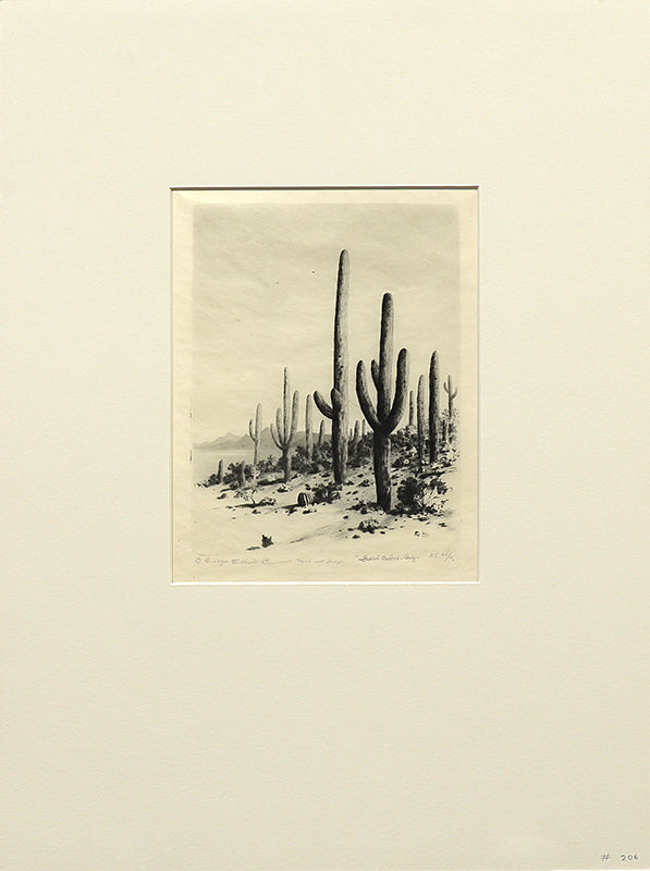 Giant Cactus, Arizona (Desert Set), Print, circa 1921